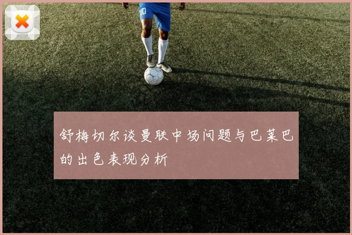 舒梅切尔谈曼联中场问题与巴莱巴的出色表现分析