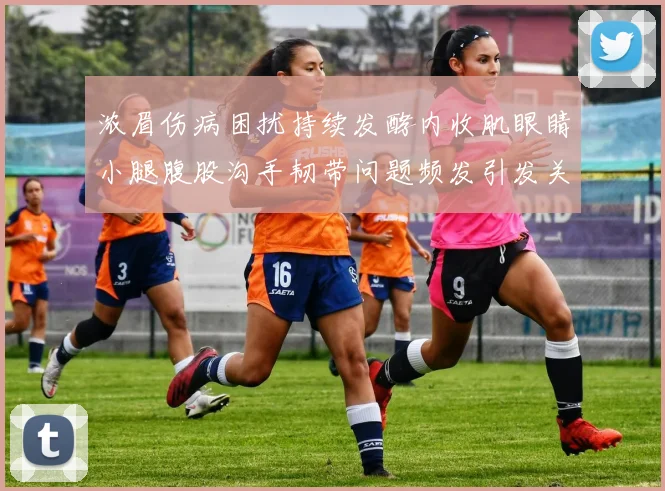 浓眉伤病困扰持续发酵内收肌眼睛小腿腹股沟手韧带问题频发引发关注